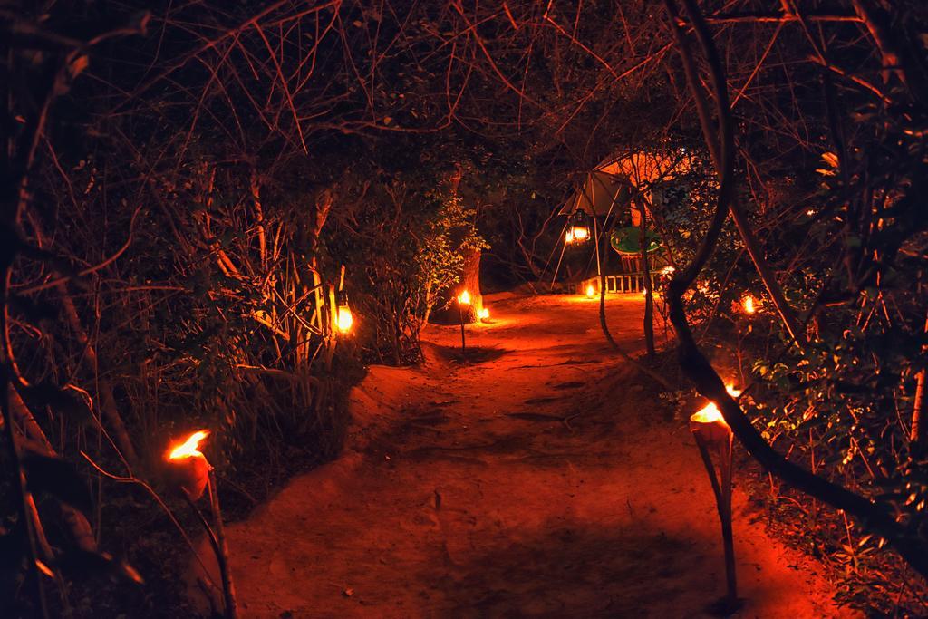 Wilderness Camping Yala Kültér fotó